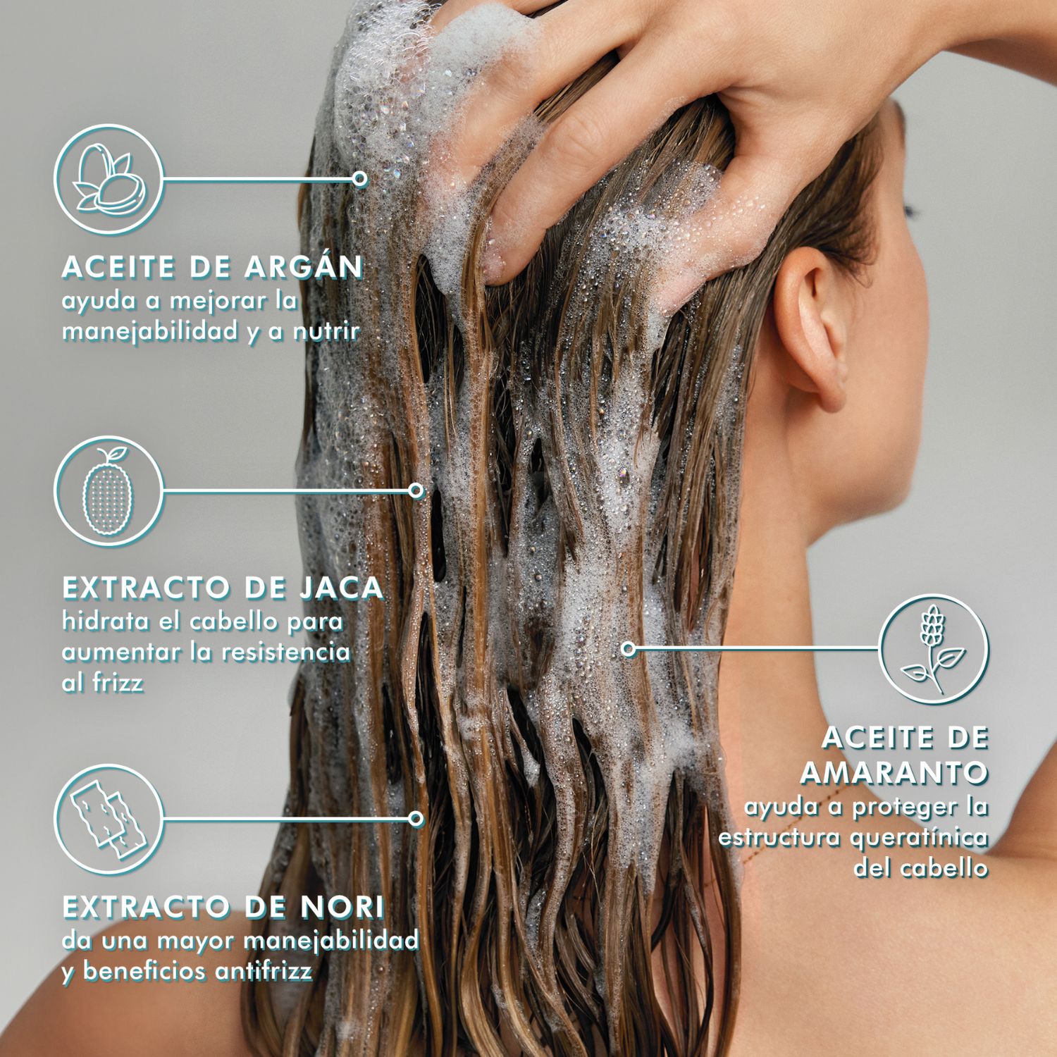 FRIZZ CONTROL SHAMPOO (SHAMPOO CONTROL ANTI-FRIZZ)
